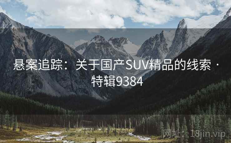 悬案追踪：关于国产SUV精品的线索 · 特辑9384